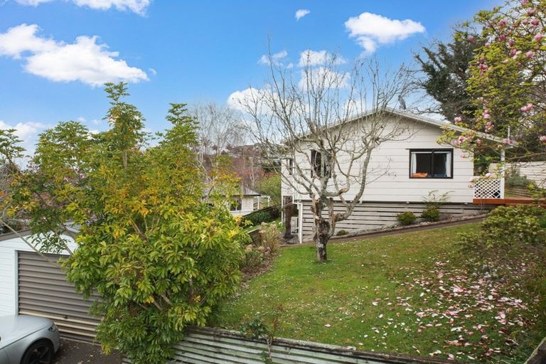 Photo of property in 25 Goodall Street, Dinsdale, Hamilton, 3204