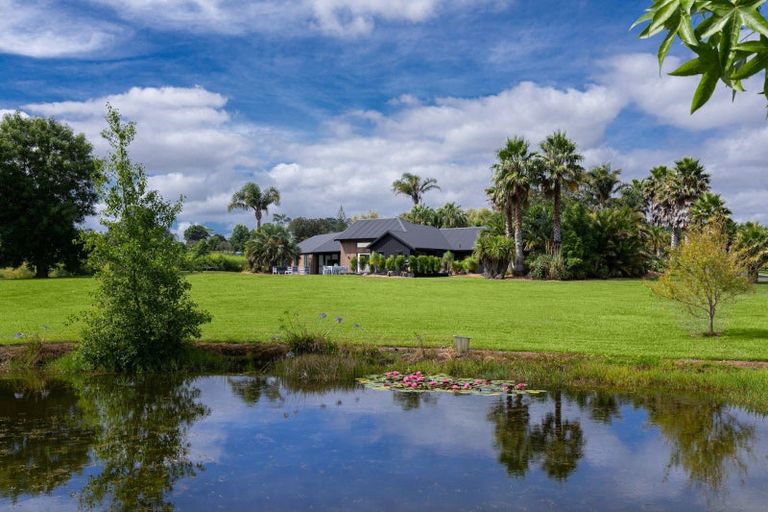 Photo of property in 251b Blackbridge Road, Dairy Flat, 0794