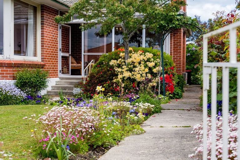 Photo of property in 61 Beresford Street, Wakari, Dunedin, 9010