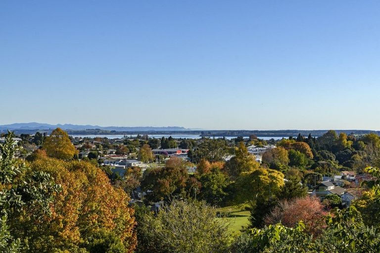 Photo of property in 47a Brookfield Terrace, Brookfield, Tauranga, 3110