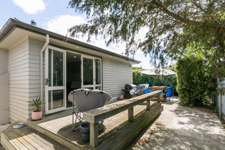 Photo of property in 104a Lumsden Road, Akina, Hastings, 4122