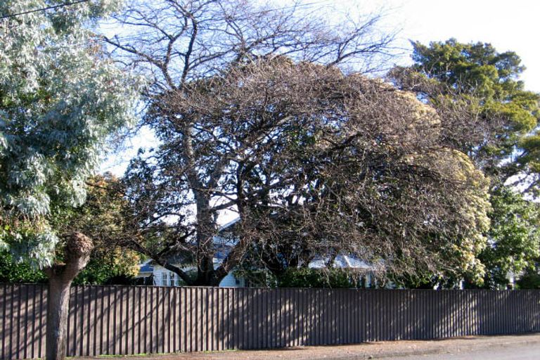 Photo of property in 79 Essex Street, Masterton, 5810