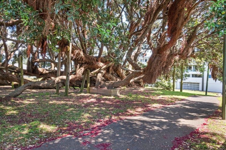 Photo of property in Paramount Apartments, 25/281 Maunganui Road, Mount Maunganui, 3116
