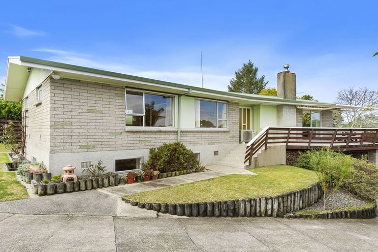 Photo of property in 55 Hall Road, Matua, Tauranga, 3110