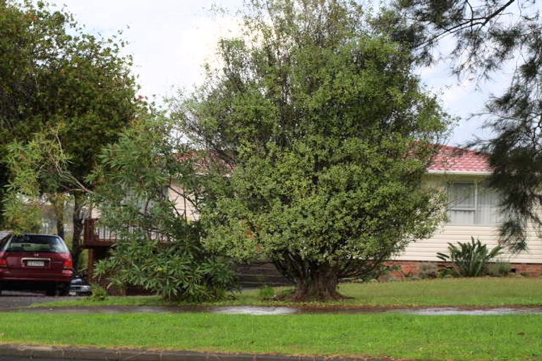 Photo of property in 163 Cook Street, Howick, Auckland, 2014