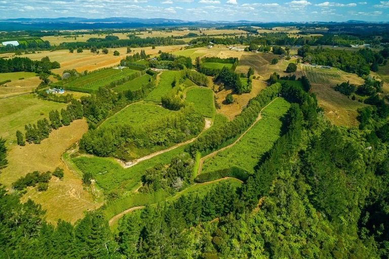 Photo of property in 866 No 2 Road, Te Ranga, Te Puke, 3182