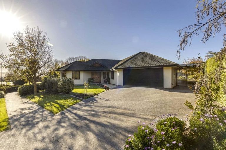 Photo of property in 69 Elmwood Avenue, Witherlea, Blenheim, 7201