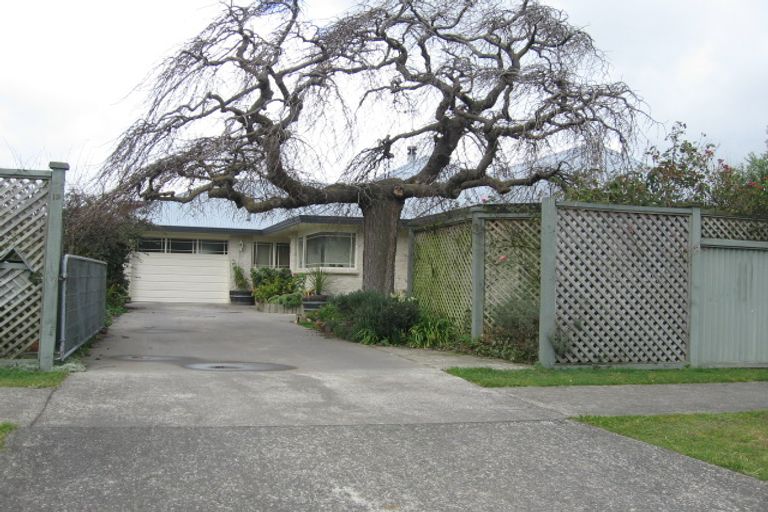 Photo of property in 19 Carthew Street, Feilding, 4702
