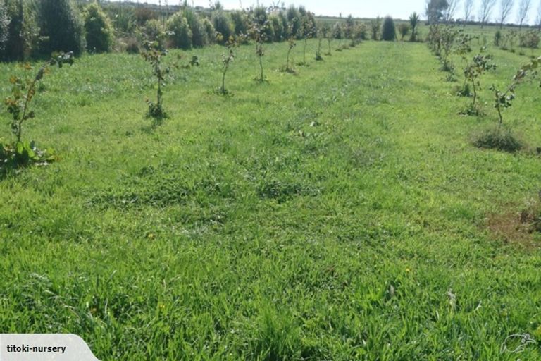 Photo of property in 324 Greig Road, Matata, Whakatane, 3194