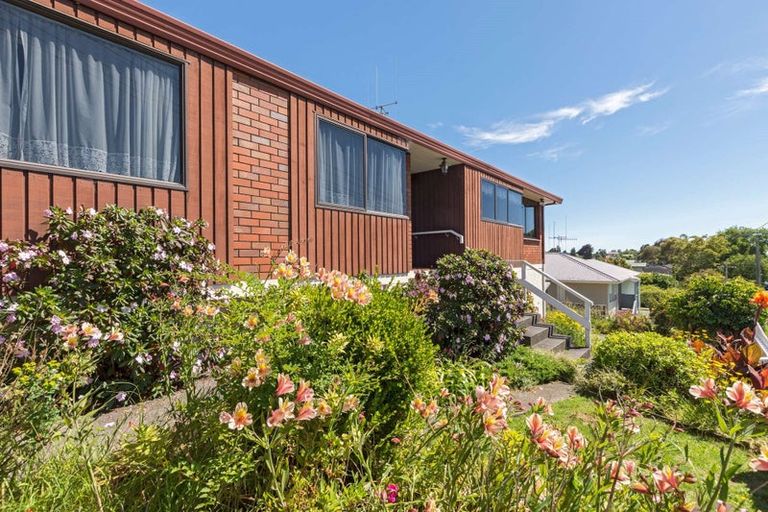Photo of property in 119c Edgecumbe Road, Tauranga South, Tauranga, 3112
