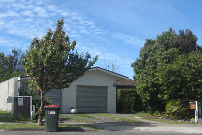 Photo of property in 3 Leefield Street, Blenheim, 7201