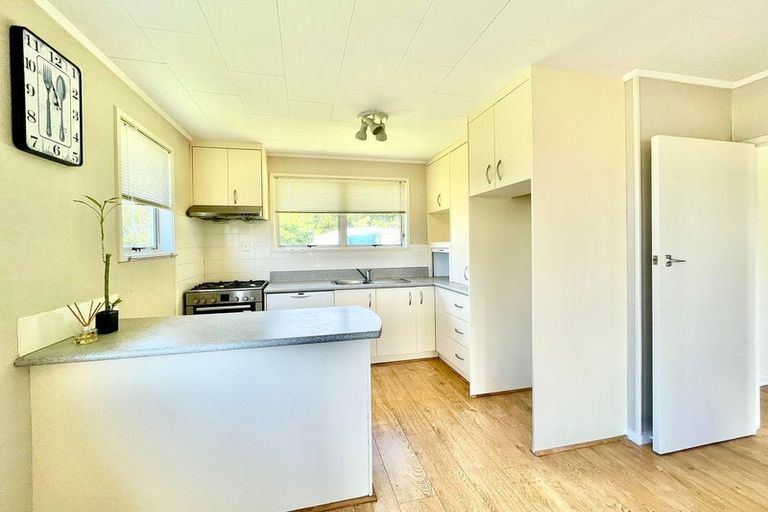 Photo of property in 58 Alexander Avenue, Torbay, Auckland, 0630
