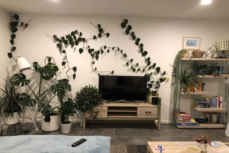 Photo of property in 77b Herald Street, Berhampore, Wellington, 6023