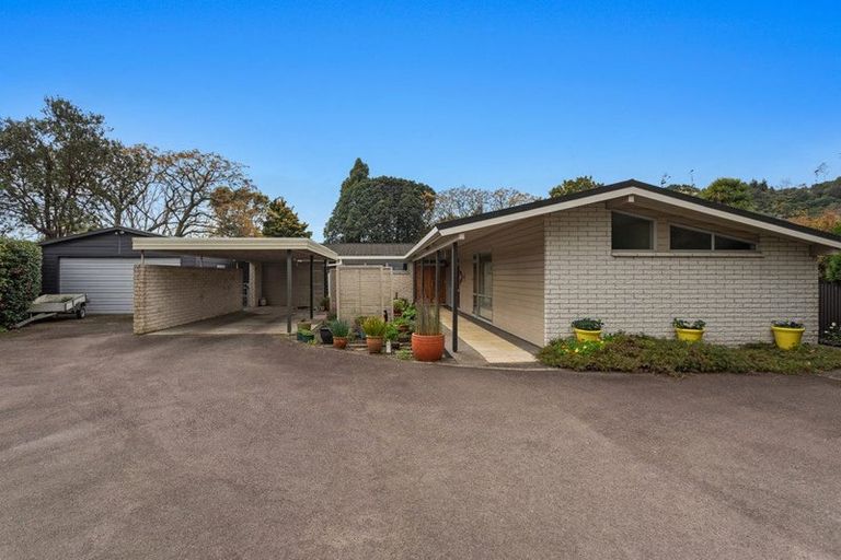 Photo of property in 31 Martin Place, Whakatane, 3120