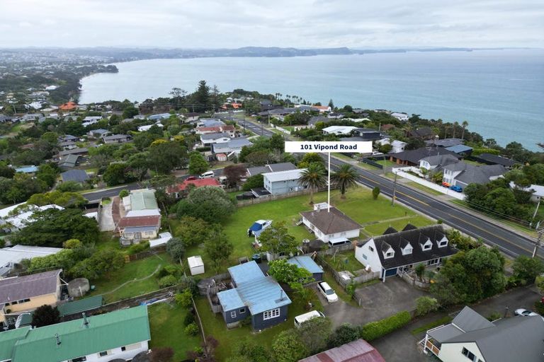 Photo of property in 101 Vipond Road, Stanmore Bay, Whangaparaoa, 0932