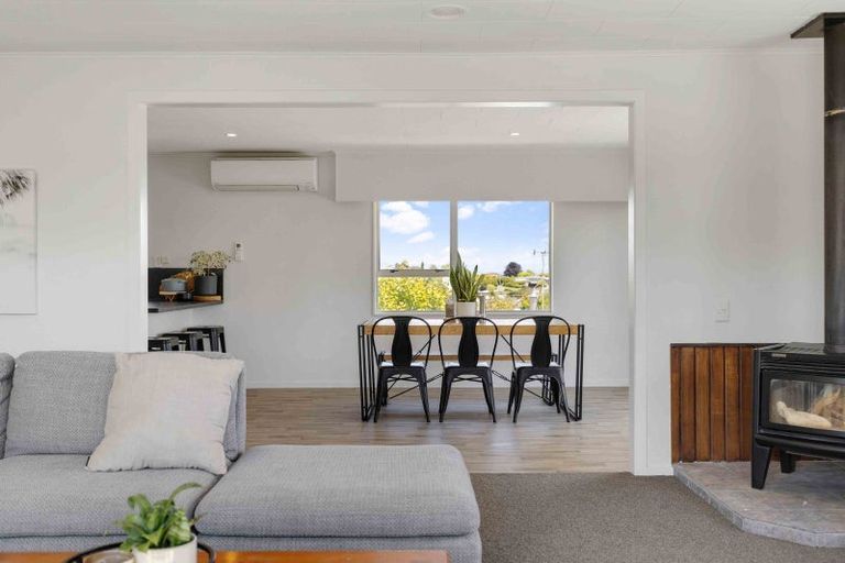 Photo of property in 91 Tamatea Road, Taupo, 3330