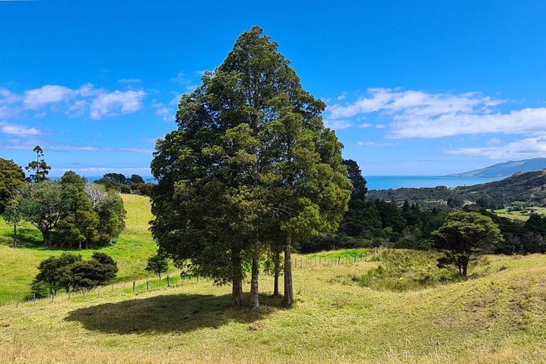 Photo of property in 1702 Colville Road, Amodeo Bay, Coromandel, 3584