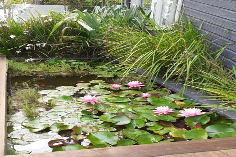 Photo of property in 41 Melville Drive, Whakatane, 3120