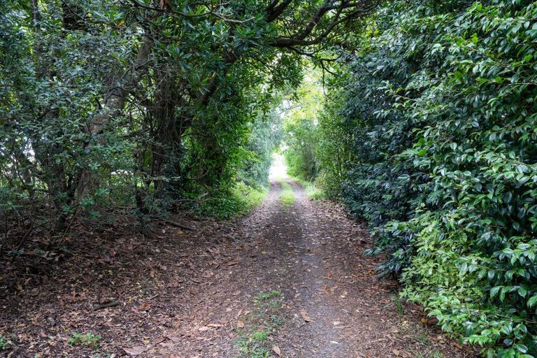 Photo of property in 848 Arapuni Road, Parawera, Te Awamutu, 3872