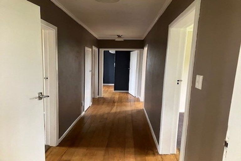 Photo of property in 123 Arapuni Street, Putaruru, 3411