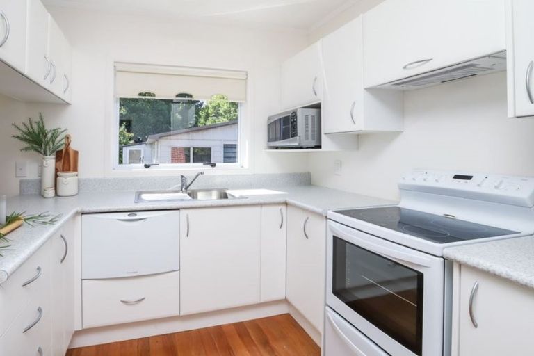 Photo of property in 53 Berkley Avenue, Hillcrest, Hamilton, 3216