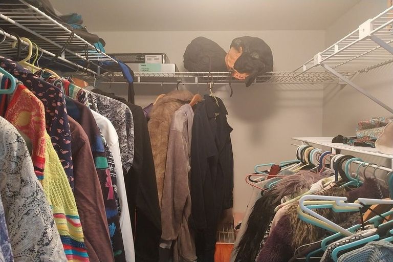 Photo of property in 5/114 Mitchell Street, Brooklyn, Wellington, 6021