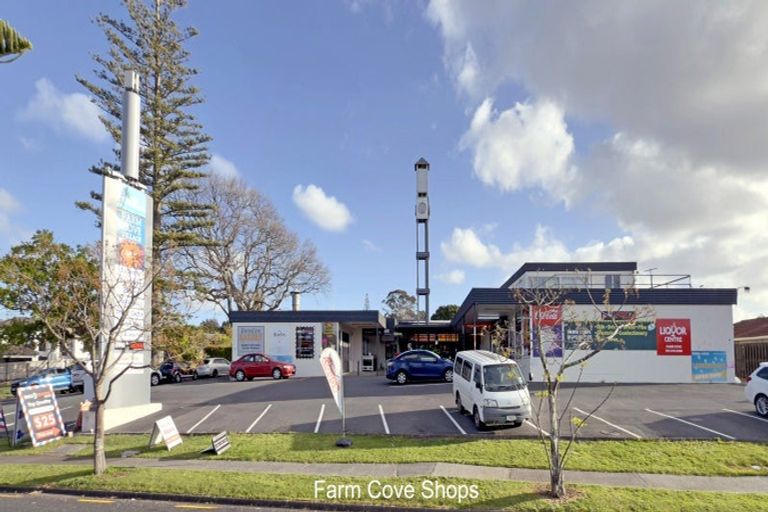 Photo of property in 4 Sarah Place, Farm Cove, Auckland, 2012
