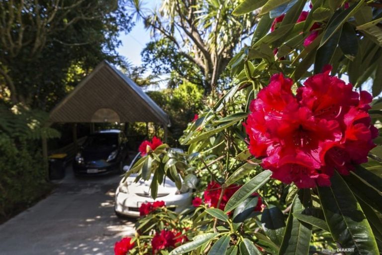 Photo of property in 17 Highbury Crescent, Highbury, Wellington, 6012