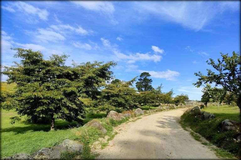 Photo of property in 333 Palmer Mill Road, Wairakei, Taupo, 3384