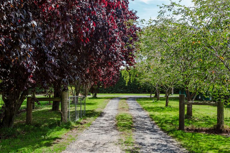 Photo of property in 30 Cemetery Road, East Taieri, Mosgiel, 9024