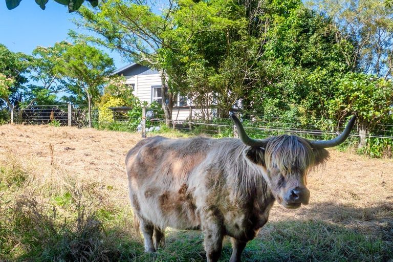 Photo of property in 691 Te Waerenga Road, Hamurana, Rotorua, 3096