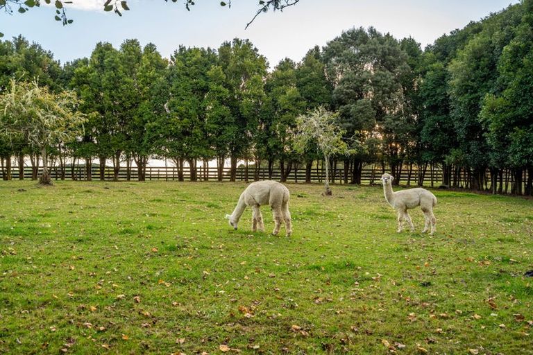 Photo of property in 45 Drinnan Road, Waitoki, Kaukapakapa, 0871