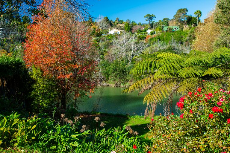 Photo of property in 49 Island Road, Whataupoko, Gisborne, 4010