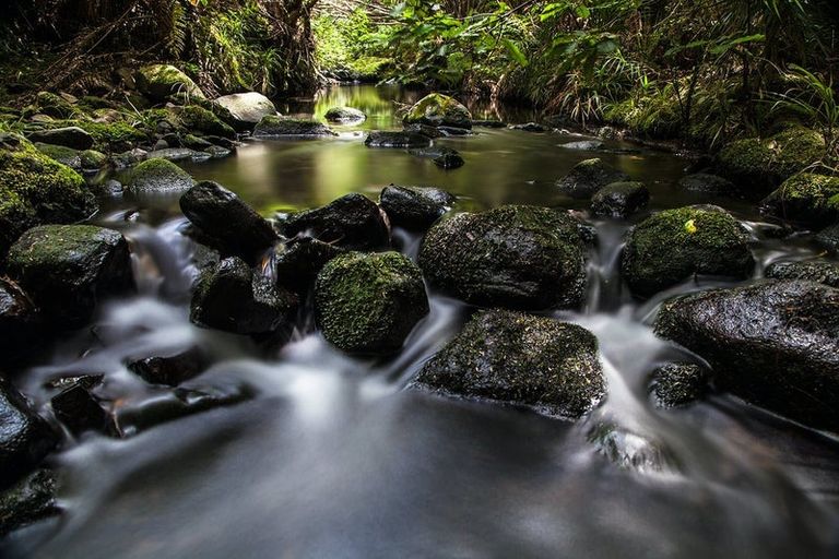 Photo of property in 134 Lone Kauri Road, Karekare, New Lynn, 0772
