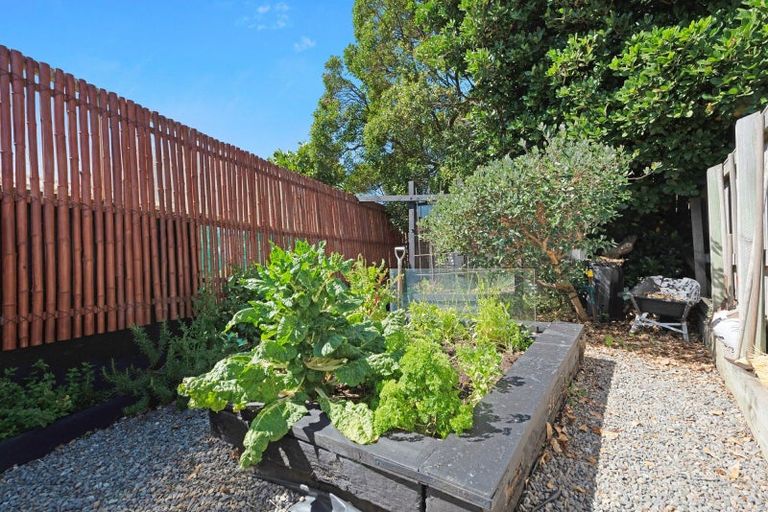 Photo of property in 167 Coutts Street, Rongotai, Wellington, 6022