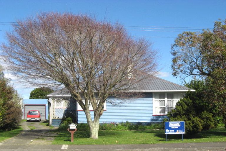 Photo of property in 20 Saint Annes Street, Levin, 5510