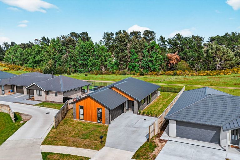 Photo of property in 48 Maru Terrace, Wharewaka, 3330