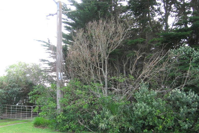 Photo of property in 1 Hennessy Street West, Foxton Beach, Foxton, 4815