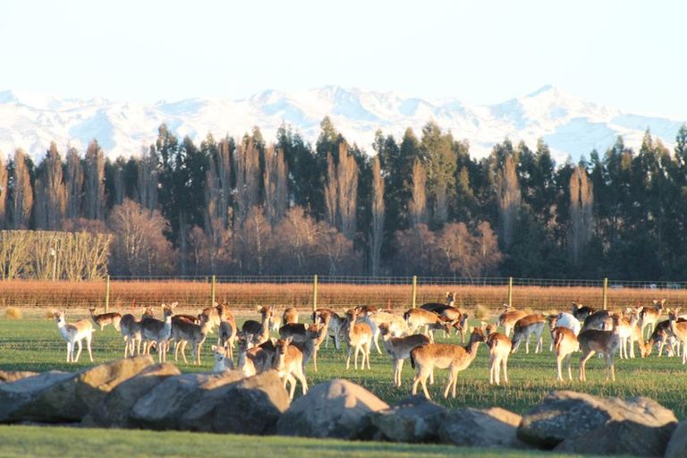 Photo of property in 18 Meadowlinks Lane, Pleasant Point, 7974