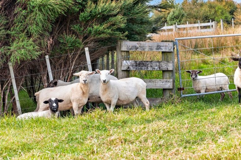 Photo of property in 161 Ranganui Road, Kaiwaka, 0573