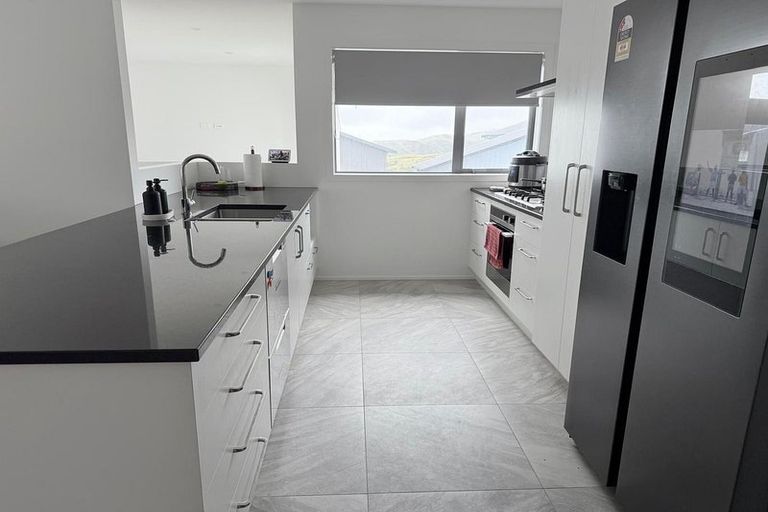 Photo of property in 17 Lemonwood Way, Woodridge, Wellington, 6037