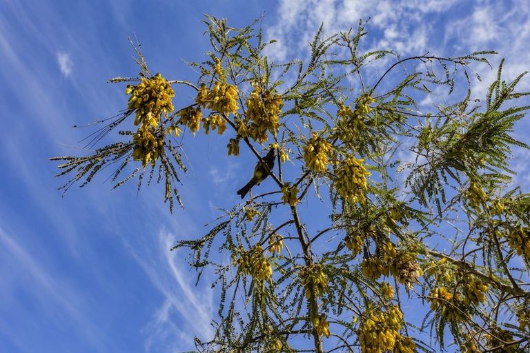 Photo of property in 1228 Greta Road, Greta Valley, 7387