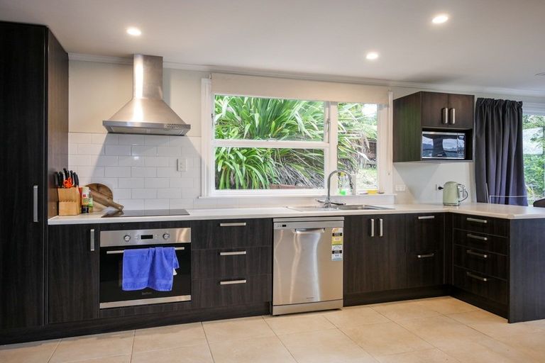 Photo of property in 2 Taine Street, North East Valley, Dunedin, 9010