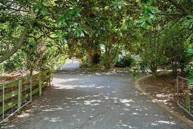 Photo of property in 1447 Piakonui Road, Richmond Downs, Walton, 3475