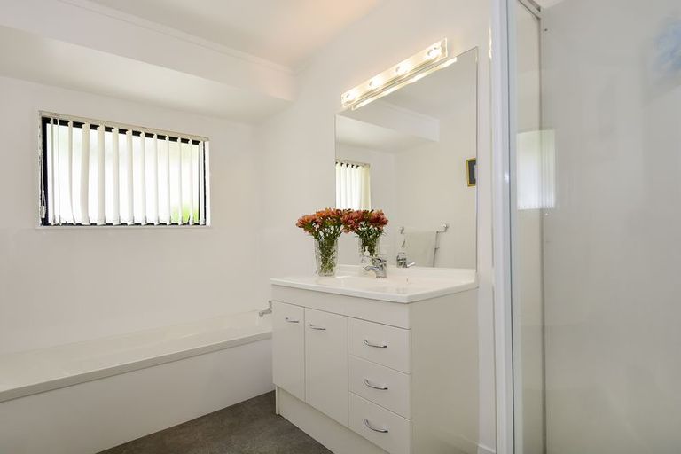 Photo of property in 19b Bellevue Road, Brookfield, Tauranga, 3110