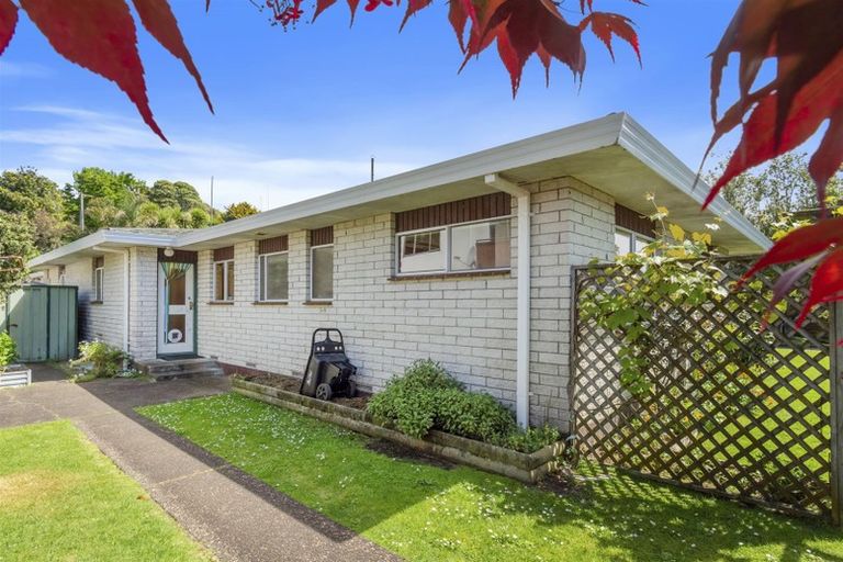 Photo of property in 45 Shelley Street, Otumoetai, Tauranga, 3110