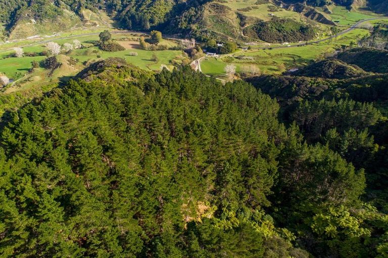 Photo of property in 1177 Mokau Road, Mimi, Urenui, 4379