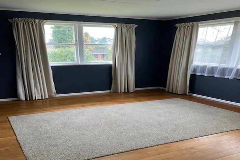 Photo of property in 123 Arapuni Street, Putaruru, 3411