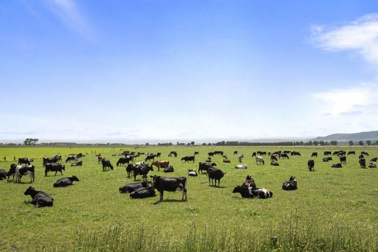 Photo of property in 145 Campbells Road, Pine Hill, Dunedin, 9010