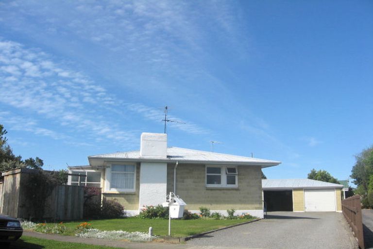 Photo of property in 7 Leefield Street, Blenheim, 7201